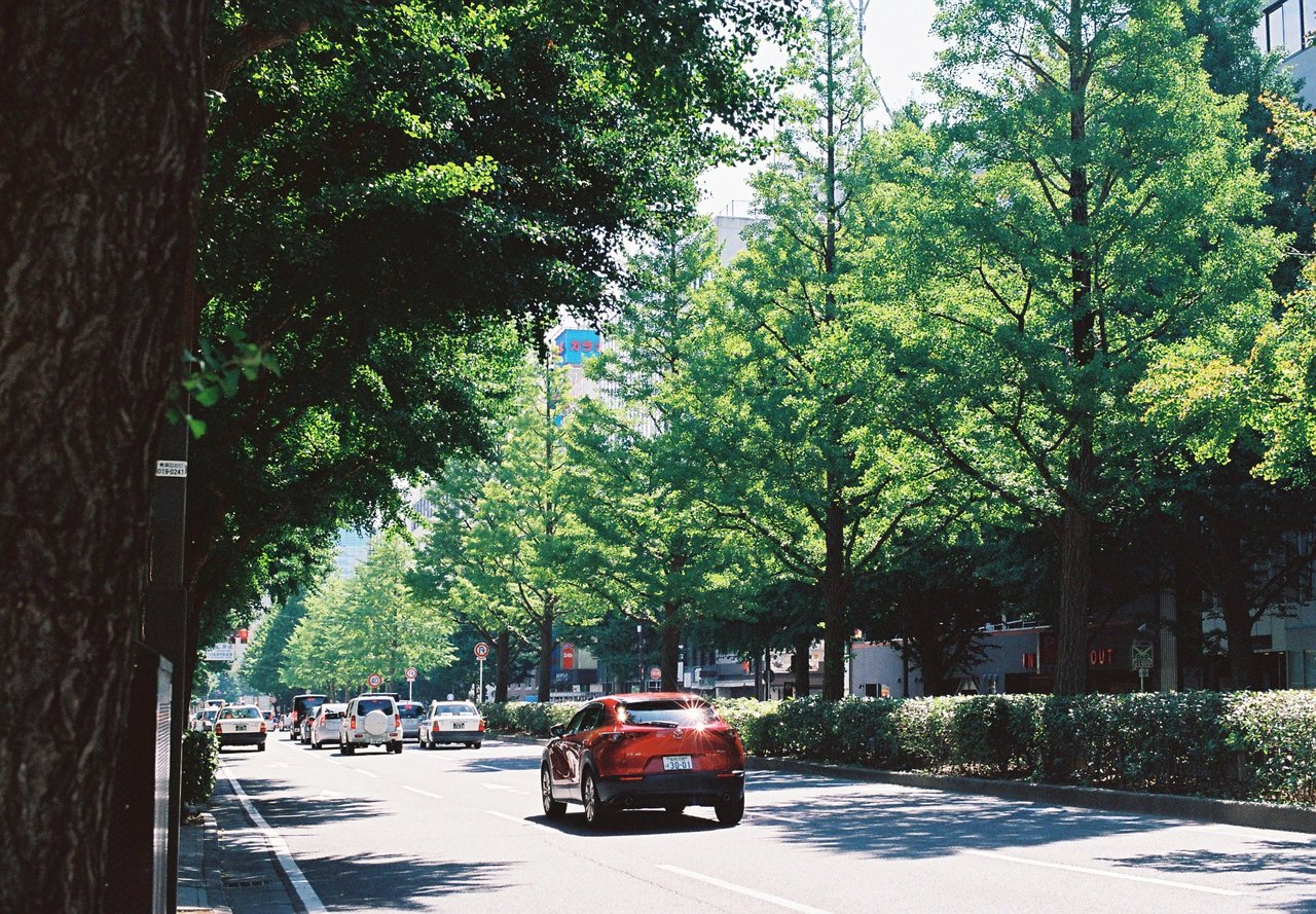 Image 8
